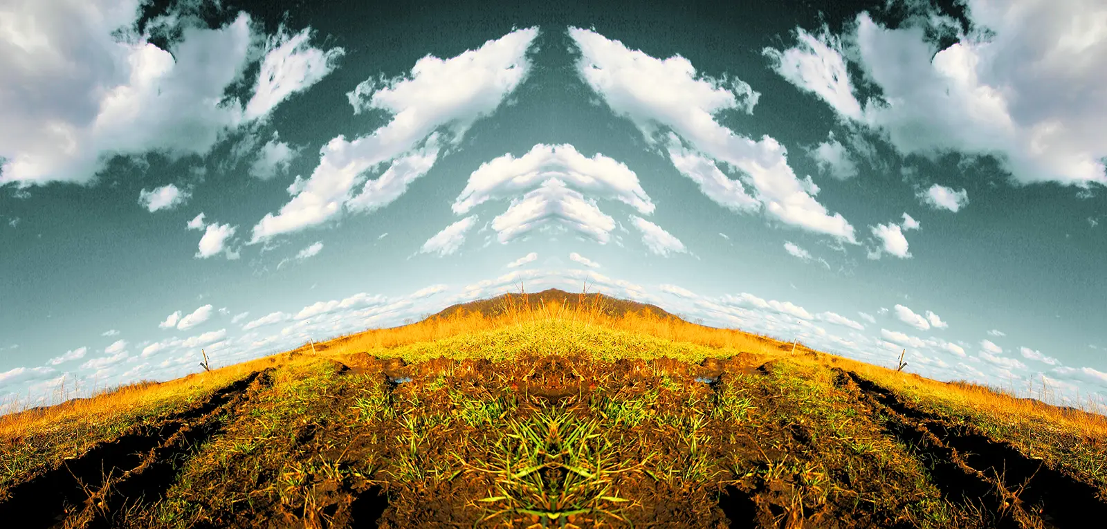 Reflections Photography | SeanRose.com