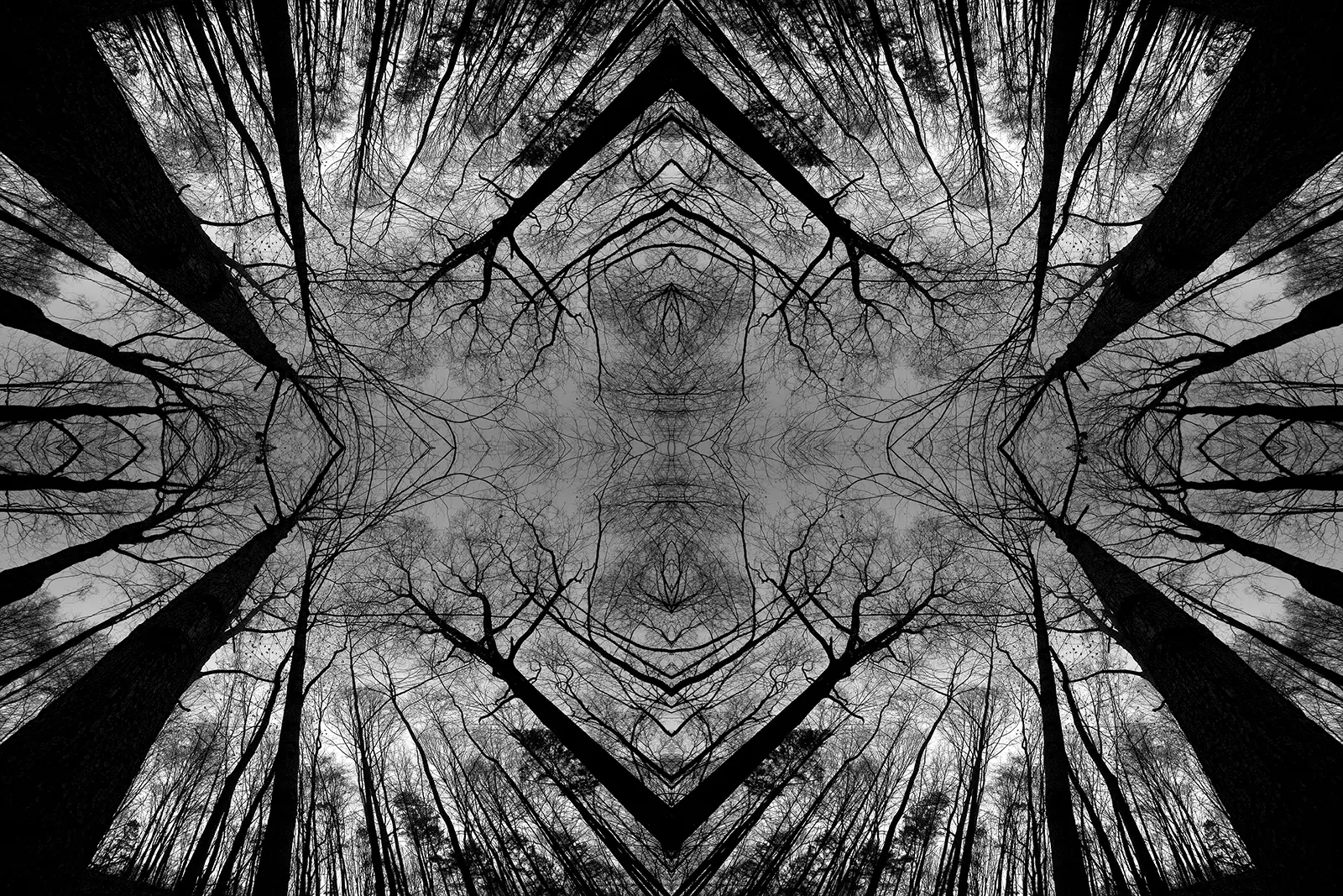 Reflections Photography | SeanRose.com