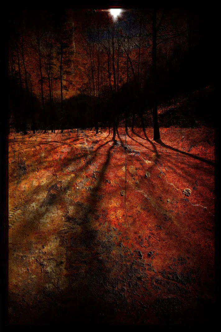 Reimagined Photography | SeanRose.com