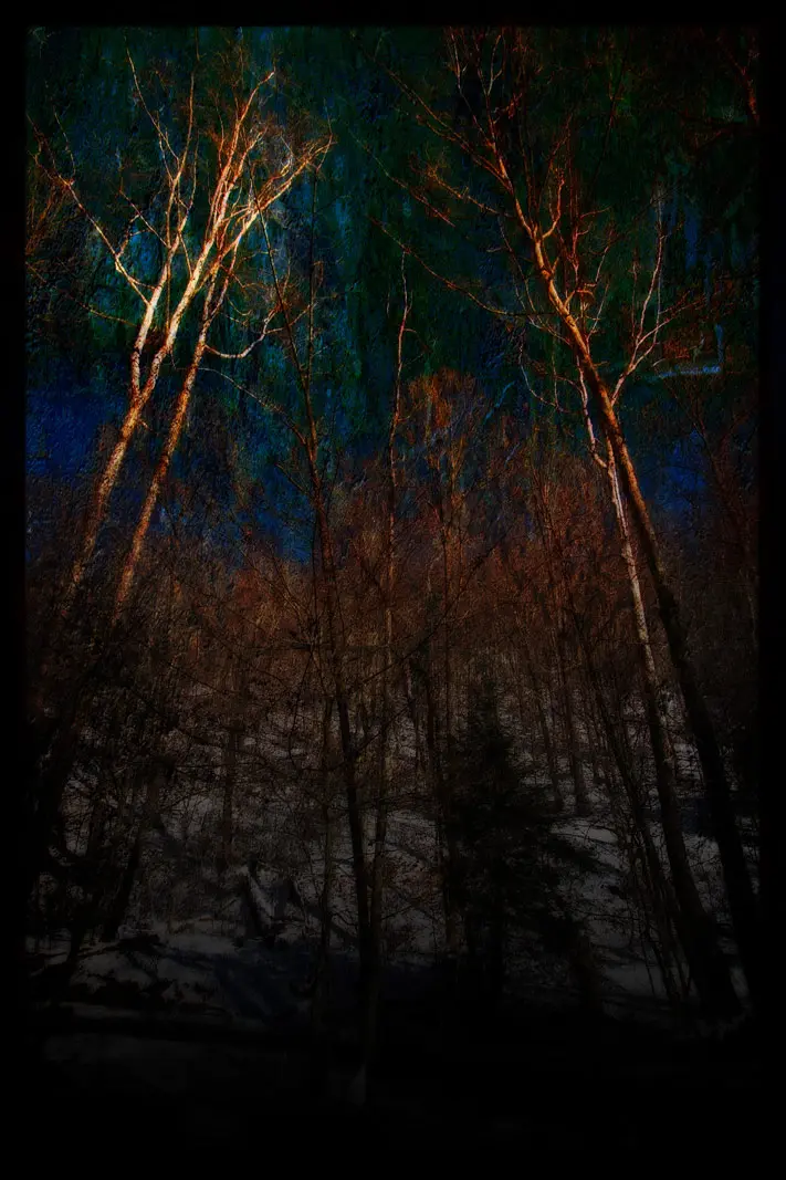 Reimagined Photography | SeanRose.com