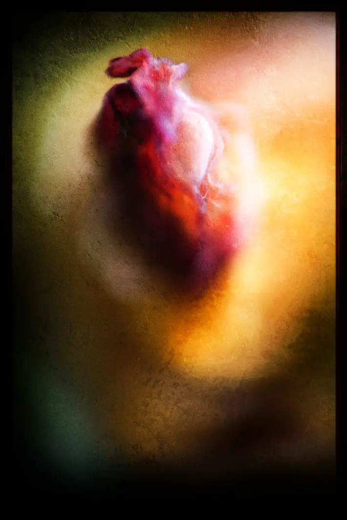 Reimagined Photography | SeanRose.com