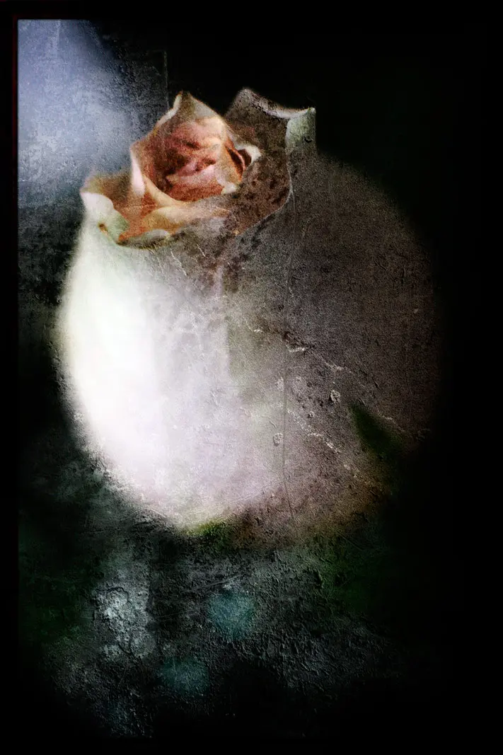 Reimagined Photography | SeanRose.com