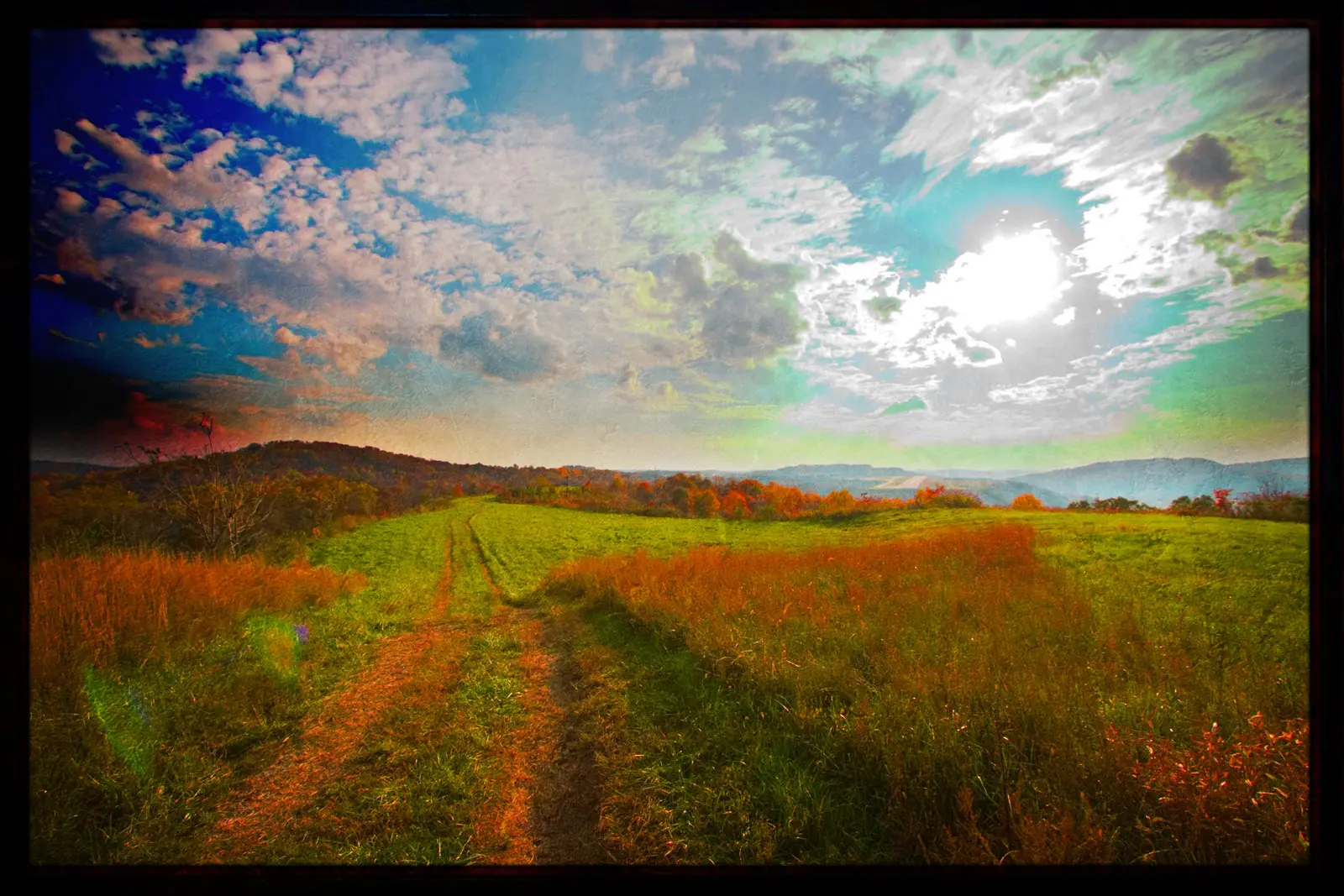 Reimagined Photography | SeanRose.com