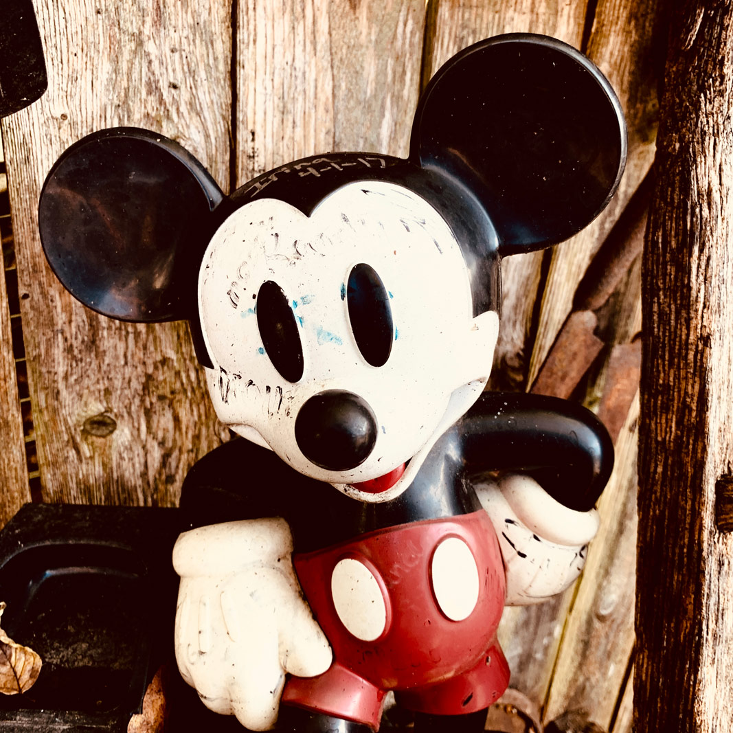 Mickey. #ShotOniPhone Photography | SeanRose.com